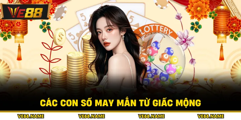 Nằm Mơ Thấy Rắn - Các Điềm Báo Linh Thiêng Về Tiền Tài 3 Các con số may mắn từ giấc mộng