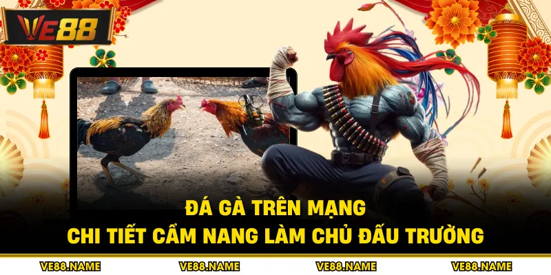 Đá Gà Trên Mạng - Chi Tiết Cẩm Nang Làm Chủ Đấu Trường