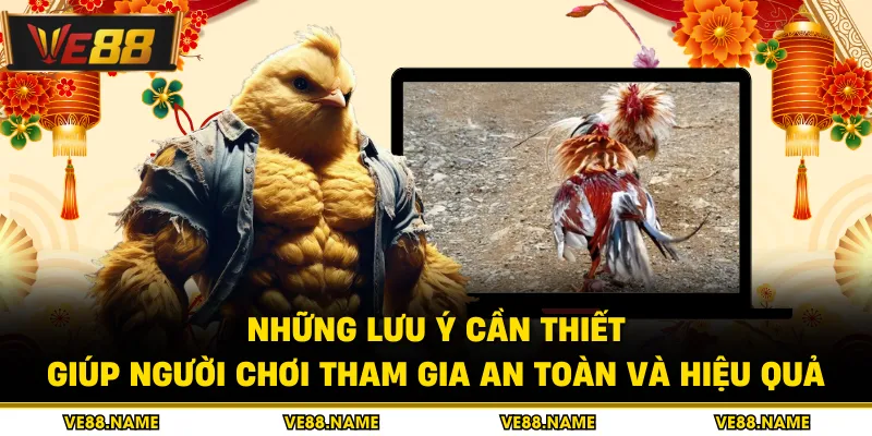 Đá Gà Tre - Chi Tiết Cẩm Nang Chinh Phục Mọi Đấu Trường 4 Những lưu ý cần thiết giúp người chơi tham gia an toàn và hiệu quả