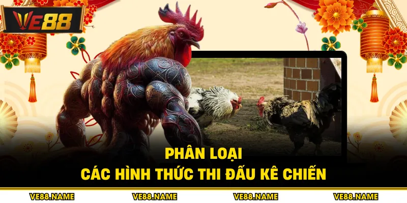 Phân loại các hình thức thi đấu kê chiến