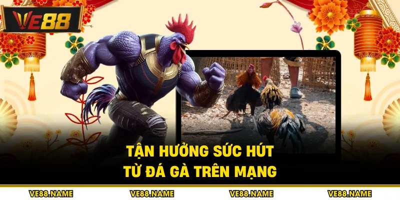 Tận hưởng sức hút từ đá gà trên mạng